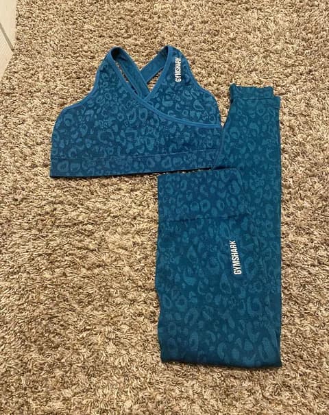 Adapt Leggings And Bra SET