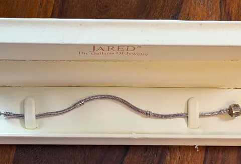 Pandora Sterling Silver Snake Chain Charm Bracelet ALE S925 with Jared Box