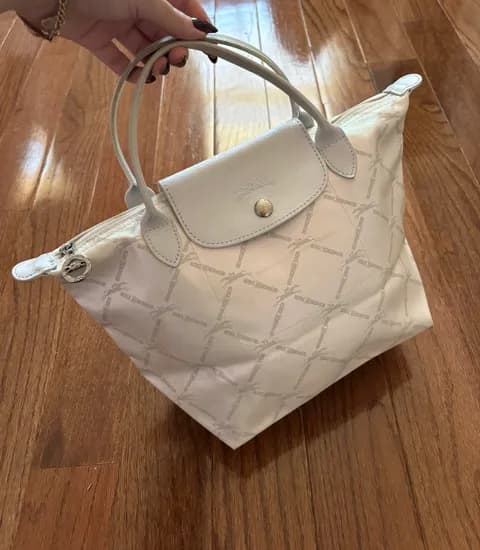 limited edition metallic modele depose monogram small le pliage bag