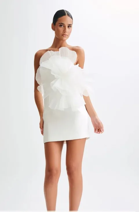 Meshki Mini Dress