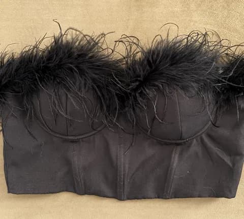 Feather Bustier Top