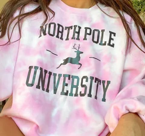 north pole university crewneck Gray Size L