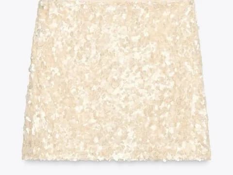 ZARA Sequin Skirt Mini