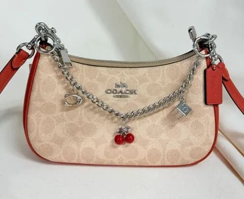 coach Teri Shoulder Bag In Signature Canvas cv933