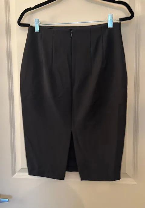 Express Pencil Skirt