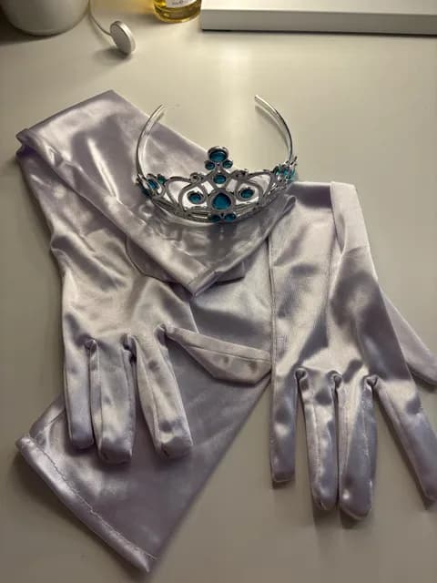 Cinderella Crown and gloves
