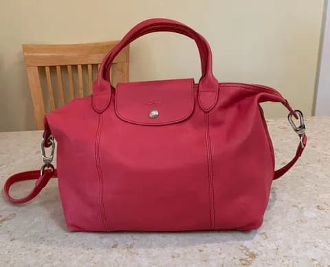Le Pliage Cuir leather bag