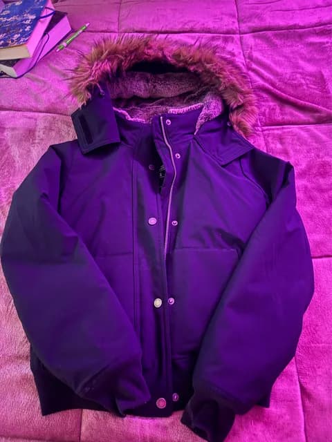 Hollister jacket