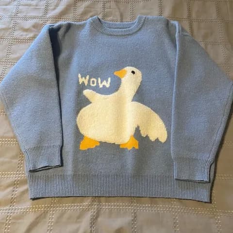Aelfric Eden Wow Goose Sweater