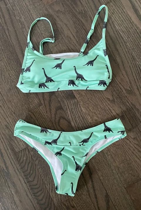 Dinosaur Bikini
