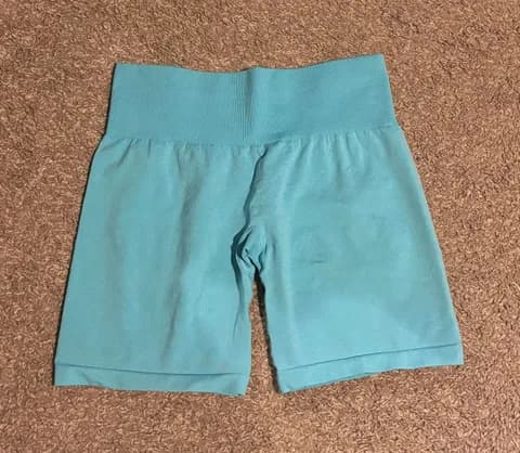 Aqua Pro Seamless Shorts
