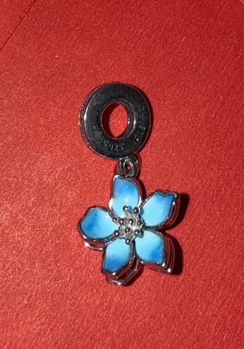 Pandora Charm Dangle