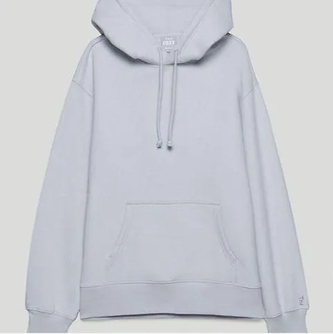Aritzia TNA Hoodie Boyfriend