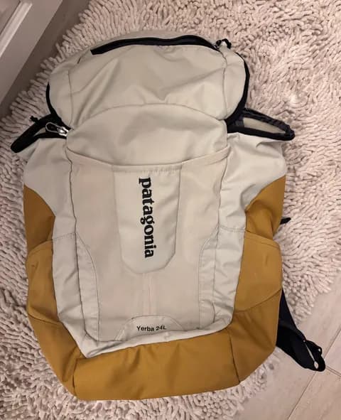 Patagonia Backpack