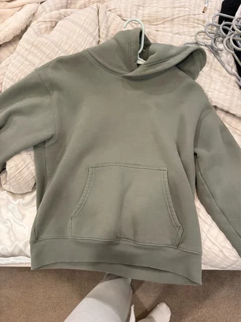 Aritzia Perfect Hoodie