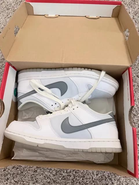 Nike Dunk Low