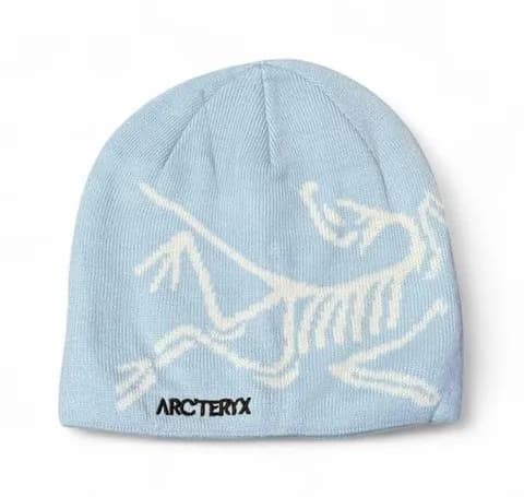 light blue and white arcteryx bird head toque beanie