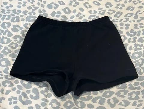 Aritzia Sweatshorts