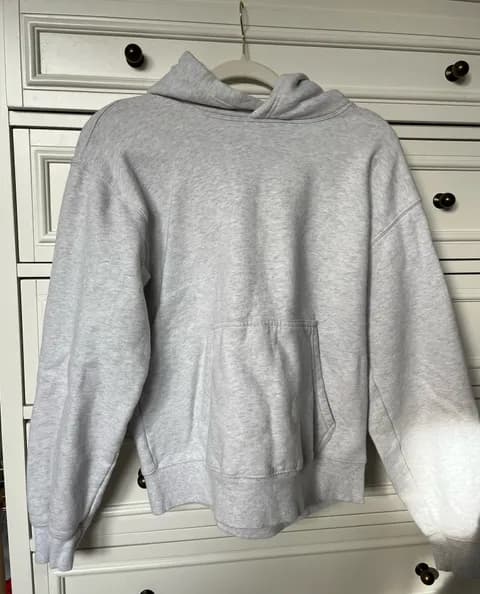 Aritzia Hoodie Perfect