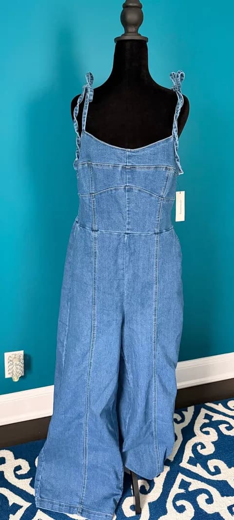 Denim Jumpsuit Francesca's