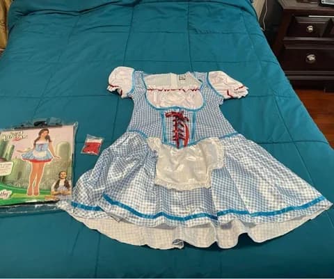 Womens wizard of oz Dorothy costume XL 14