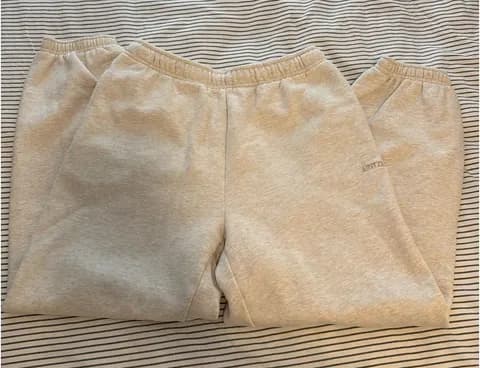 Aritzia Joggers