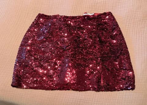 Francesca's Sparkle Skirt