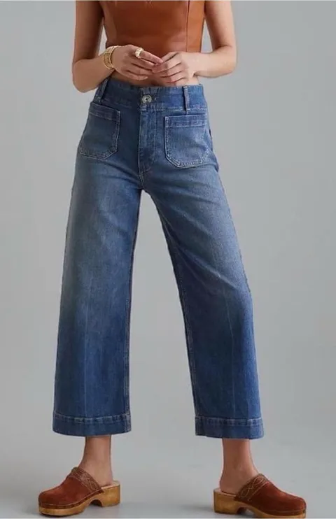Anthropologie Pilcro The Skipper wide leg Jean Sz 26