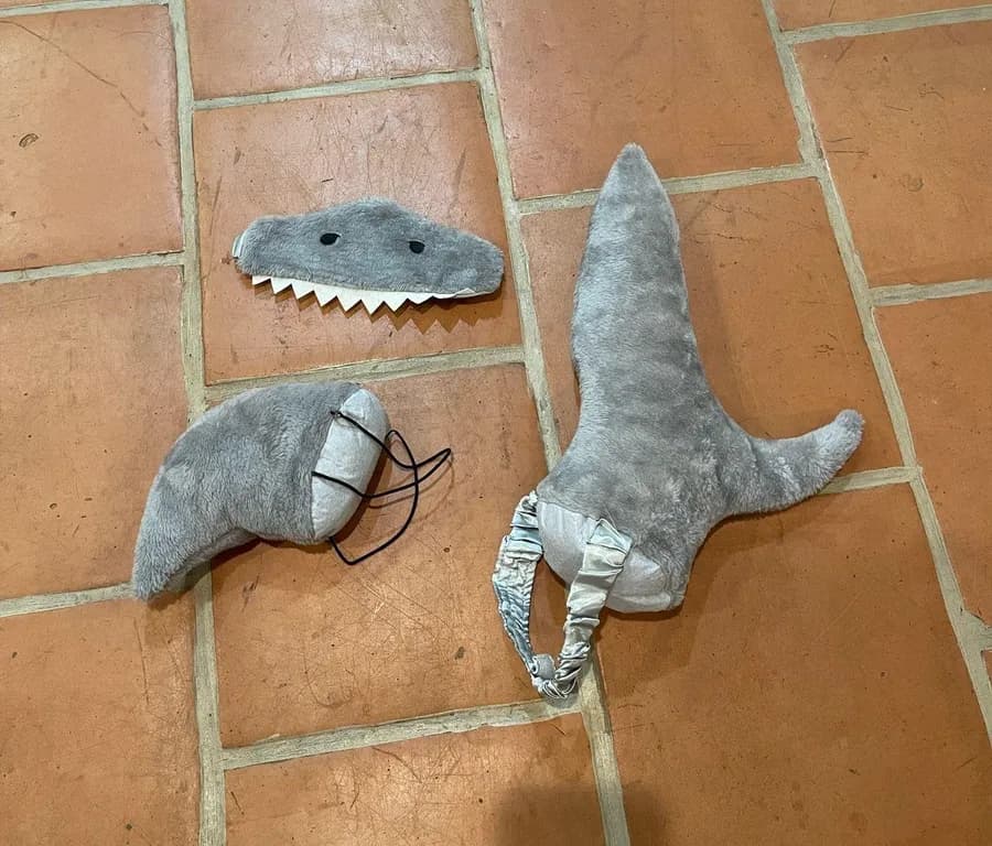 Shark costume